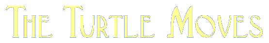 The Turtle Moves